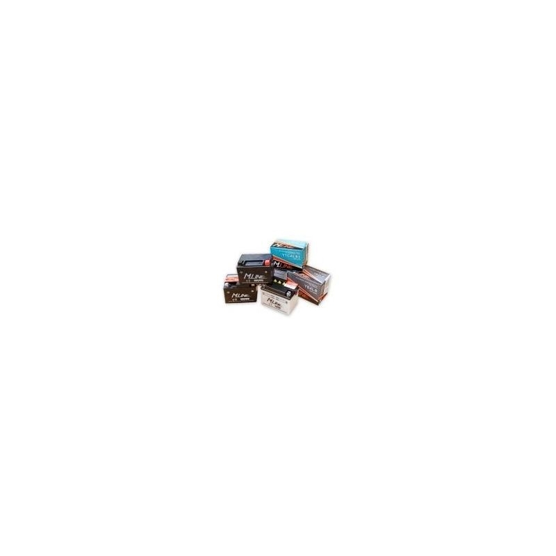 Baterie standard M-Line 12N12A-4A-1