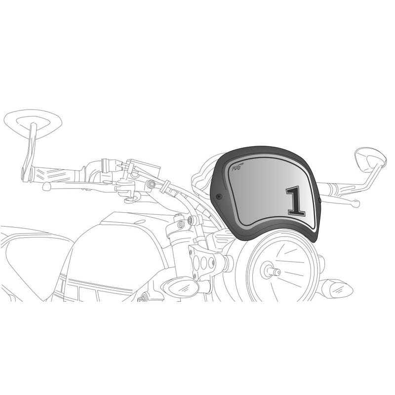 Spare PUIG FRONTAL PLATE carbon look