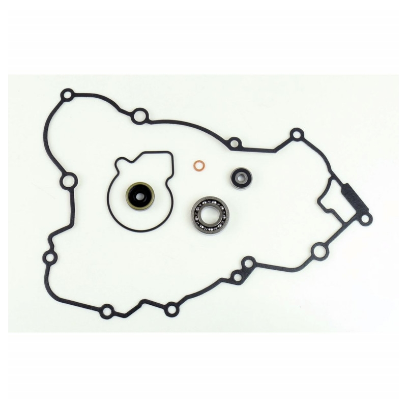 Water pump gasket kit ATHENA with bearings