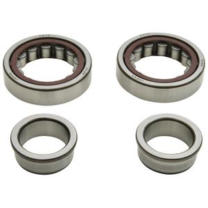 Crankshaft bearing kit All Balls Racing CB24-1125