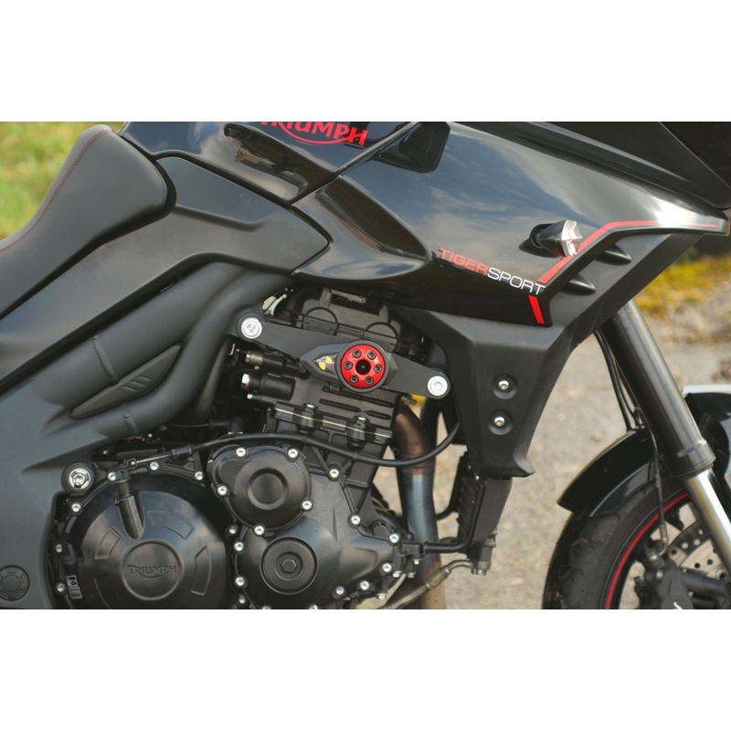 Triumph TIGER SPORT 1050 (13-) Classic