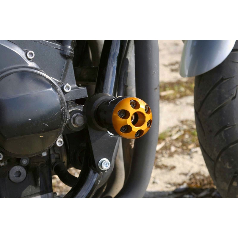 Yamaha FZS 600 (98-03) Classic