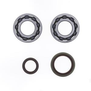 Crankshaft Rebuilding Kit ATHENA P400060444001 (bearing and oil seal kit)