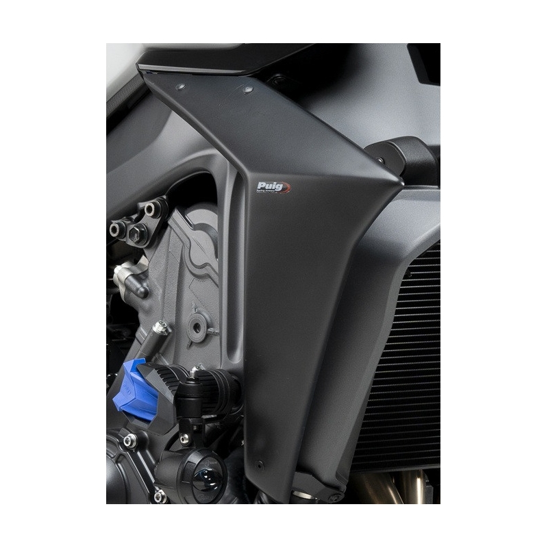 Side spoilers PUIG NAKED carbon look