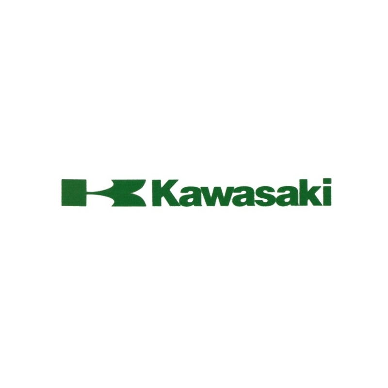 Kawasaki matrica zöld